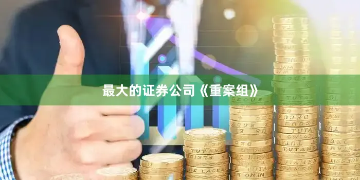 最大的證券公司《重案組》